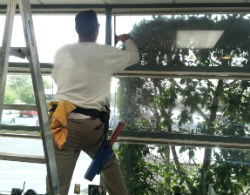 Internal Window Cleaning